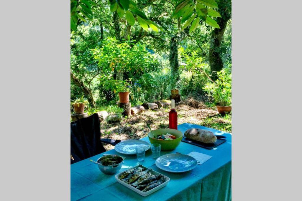 Quinta Biologica, Com Vista, Na Serra De Sintra Exterior foto