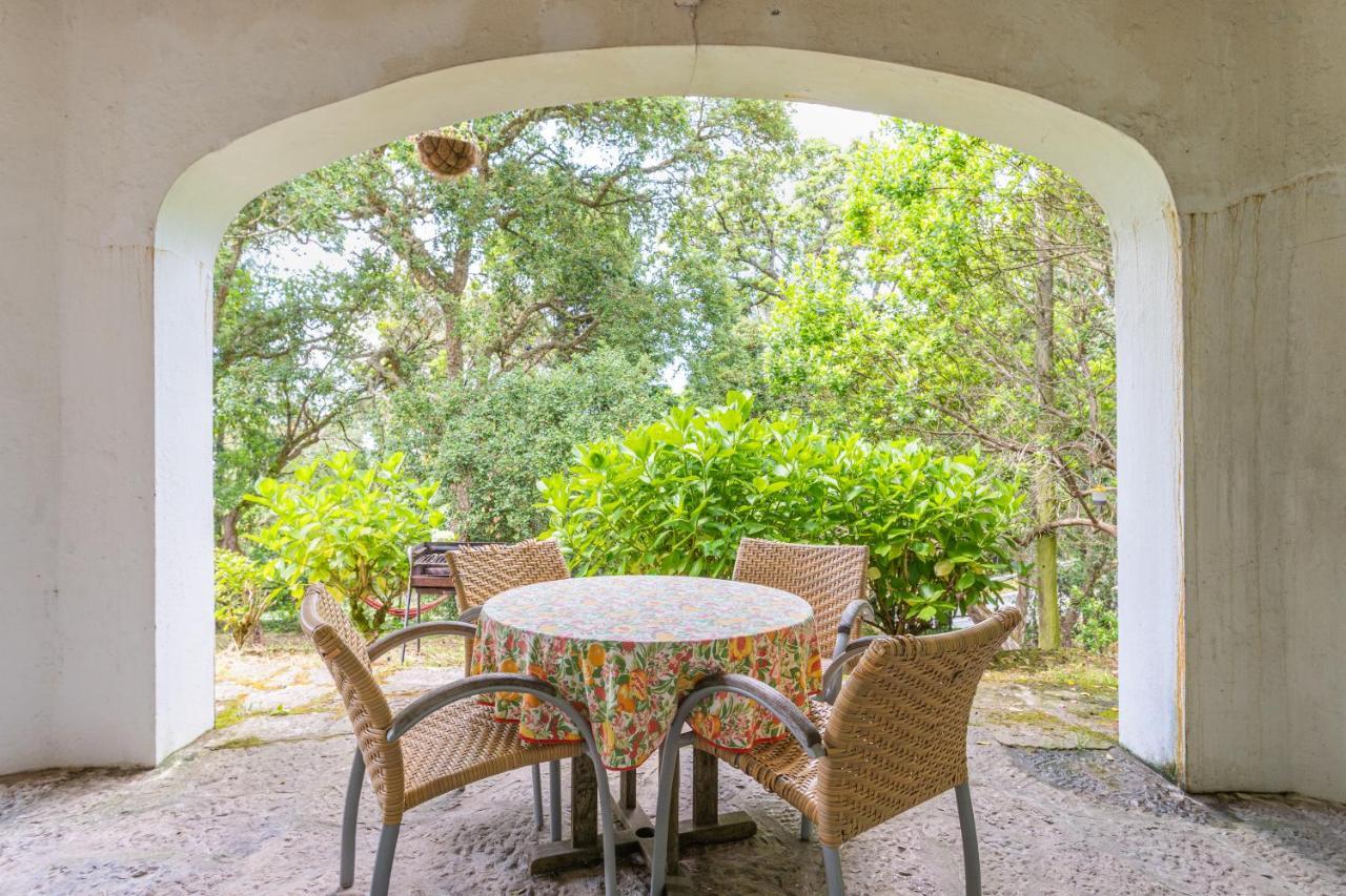 Quinta Biologica, Com Vista, Na Serra De Sintra Exterior foto